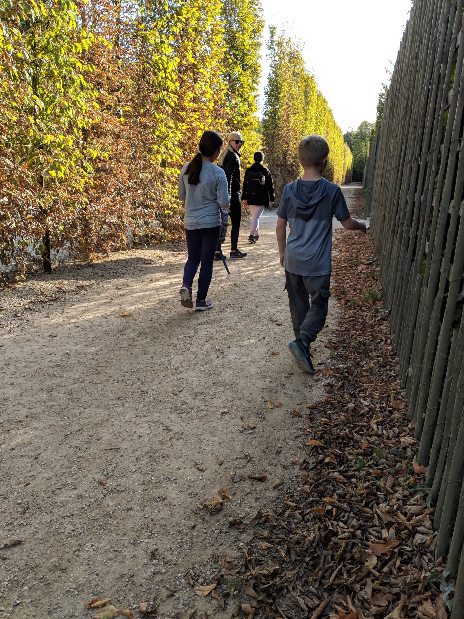 IMG_20181023_162438