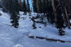 IMG_4386