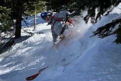 IMG_4431