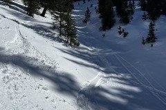 IMG_4437