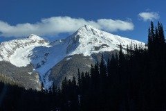 IMG_4478