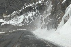 IMG_4496