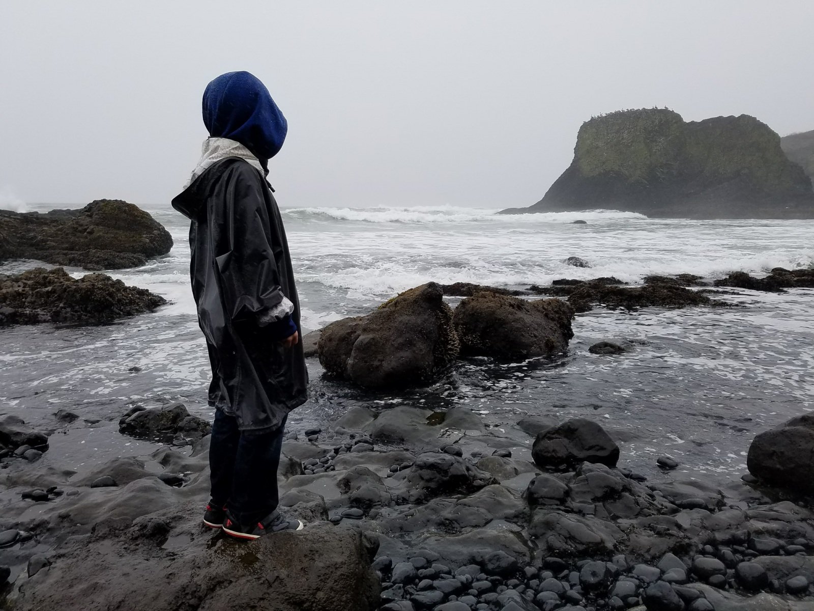 Logan_oregon_coast