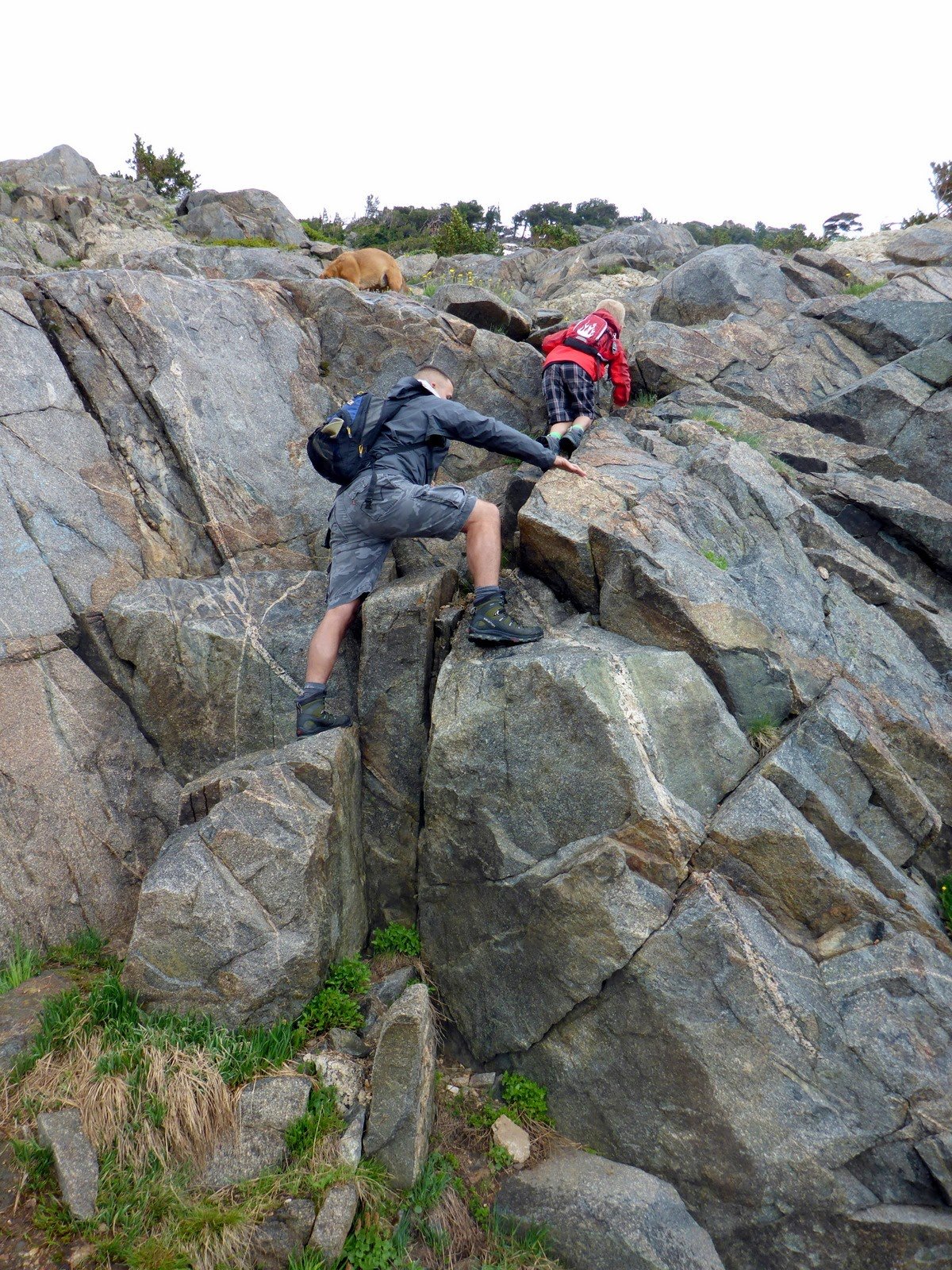 joe_logan_rock
