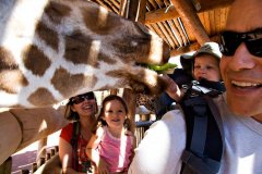 joe_logan_zoo