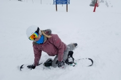 last_day_for_the_palmer